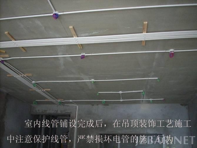 160558cdi6snf8pi606f8o.jpg