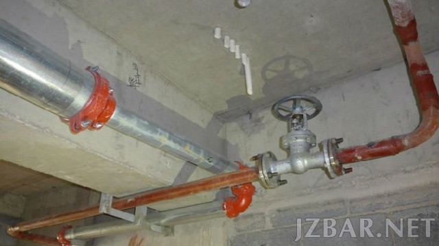 092049gnb1zoq2q5j3vee5.jpg