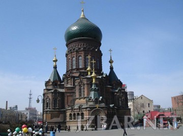 135132aqhfb2etruzp7vjn.jpg