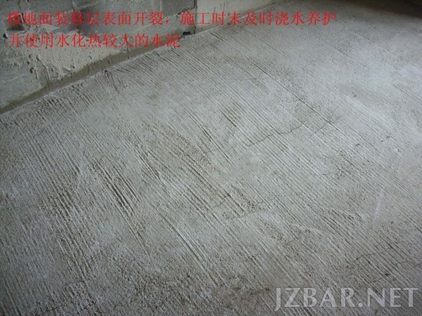 105848da6pvtwxuta7c182.jpg