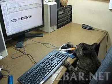 085131u6nt0zvtm4uome4w.jpg